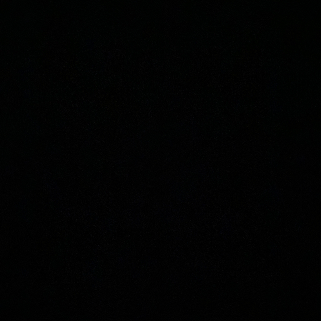 أيمن الفيفي