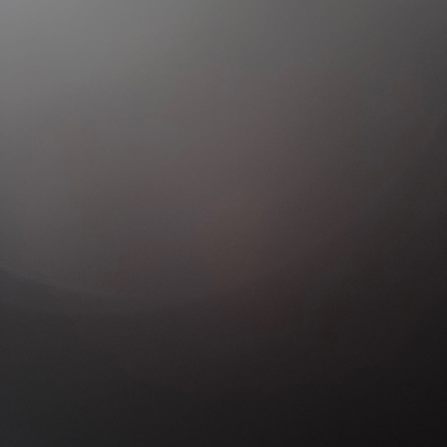 عيده القارزي